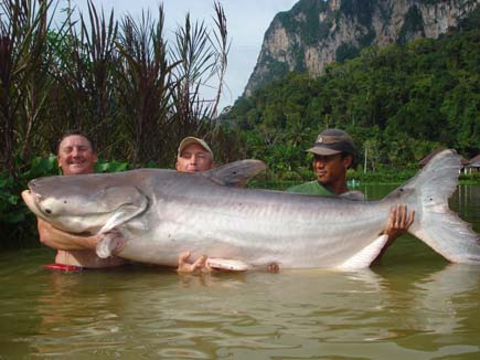 catfish world record 326.jpg